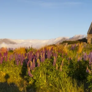 Church of the Good Shepherd, Lake Tekapo, Mackenzie Country, Canterbury, South Island