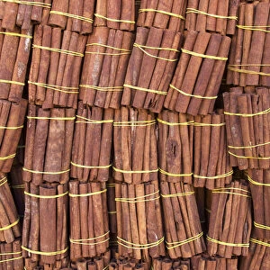 Cinnamon in Spice Shop, Marrakech, Morocco, North Africa