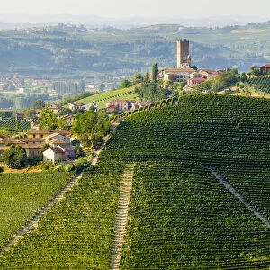 Classic viewpoint on Barbaresco in Langhe, Barbaresco, Piedmont, Italy