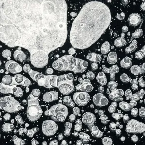 Close-up Print of Ice Bubbles, Lake St Moritz Close-up Print of Ice Bubbles, Lake St Moritz