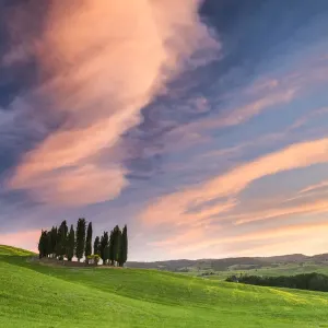 Cloudscape over Cypress Trees Print, Val d Orcia Landscape Cloudscape over Cypress Trees Print, Val d Orcia Landscape