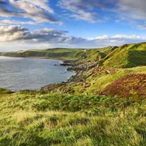 Coast landscape - United Kingdom, Scotland, Dumfries and Galloway, Black Head