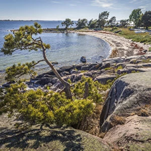 Coast of Sandhamn Island, Stockholm County, Sweden