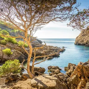 Coastal Landscape Print, Cala Fornells, Mallorca Coastal Landscape Print, Cala Fornells, Mallorca