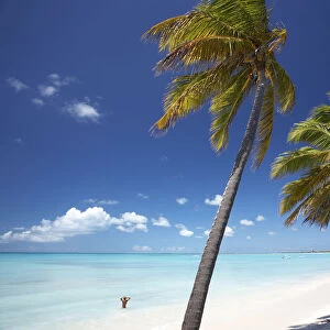 Coco Point, Barbuda, Caribbean, West Indies