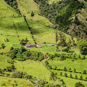 Cocora Valley, Salento, Quindio Department, Colombia