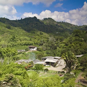 Colombia, Caldas, Manizales, Hacienda Venecia coffee plantation
