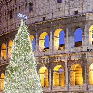 Colosseum, Christmas Tree. Rome, Lazio, Italy, Europe