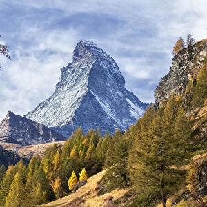 Colourful trees in autumn with Matterhorn in the background