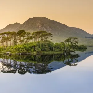 Connemara, County Galway, Connacht province, Republic of Ireland, Europe. Lough Inagh lake