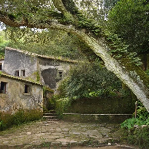 Convent of the Capuchos, dating back to the 16th century, in the middle of the Sintra