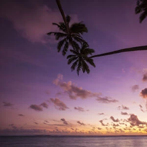 Cook Islands, Aitutaki Atoll, beach and palm trees silhouette