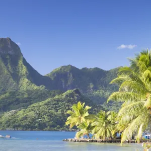 Cooks Bay, Mo orea, Society Islands, French Polynesia