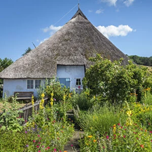 Cottage garden on Parish widow's house in Grosz Zicker, Ruegen Island, Mecklenburg-Western Pomerania, Germany, Europe