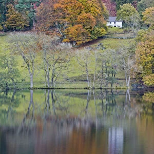 Cottage Reflecting in Loughrigg Tarn in Autumn, Lake District National Park, Cumbria
