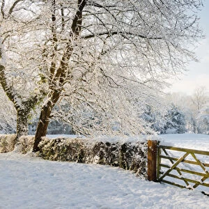 Country Gate in Winter, Norfolk, England