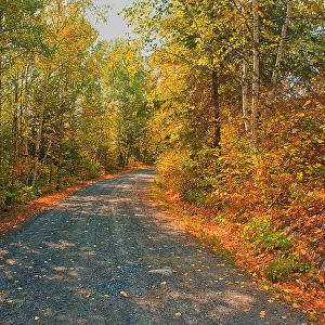 Country road in autumn colors near Middle Lake Kenora, Ontario, Canada