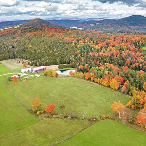 Countryside in the fall near near Peacham, Vermont, USA