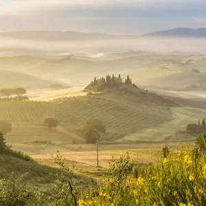 Serene Landscapes