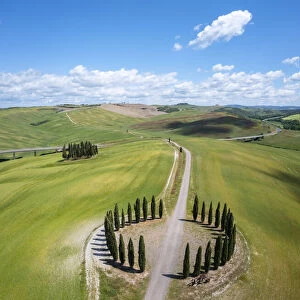 a couple holding hands at the Cypresses Ring near the famous San Quirico d