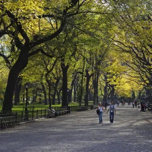 A couple walk through Central Park enjoying the autumn colours