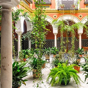 courtyard in Seville, Andalusia, Spain, Europe