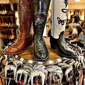 Cowboy boots in Alberta Boot Company, Calgary, Alberta, Canada, North America
