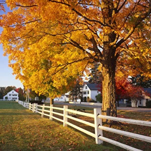 Craftsbury Common in Autumn, Vermont, USA