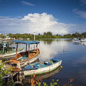 Cuba, Cienfuegos, Punta Gorda, Laguna del Cura