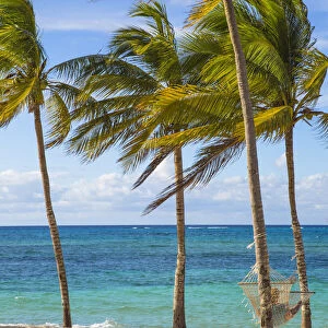 Cuba, Holguin Province, Hammock between palm trees on Playa Guardalvaca