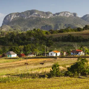 Cuba, Pinar del Rio Province, Vinales, Vinales Valley