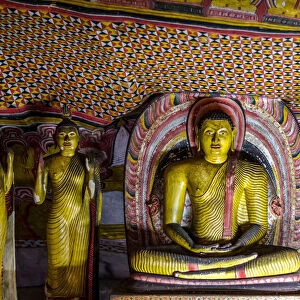 Dambulla, Matale, Central Province, Sri Lanka, Southern Asia