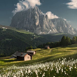 Daunei, Selva Val Gardena, Gardena Valley, South Tyrol, Dolomites, Italy, Europe