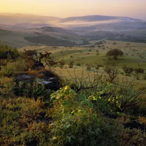 Dawn and mist in valley near Zeak