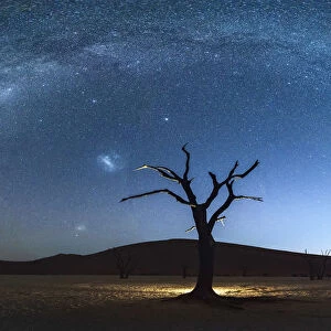 Deadvlei, Namib-Naukluft National Park, Namibia, Africa. Dead acacia trees at night