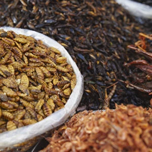 Deep fried insects at market, Phnom Penh, Cambodia