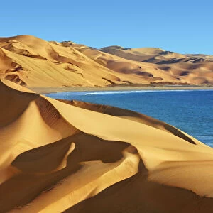 Desert and ocean (Namib and Atlantic) - Namibia, Hardap, Namib