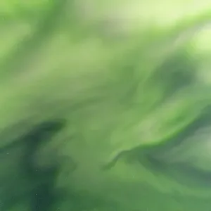 Details of the green lights of the Aurora Borealis in the polar arctic night Senja Tromso Norway Europe