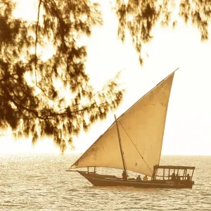 Dhow cruising along the coast at sunset, Nungwi, Zanzibar, Tanzania Dhow cruising along the coast at sunset, Nungwi, Zanzibar, Tanzania