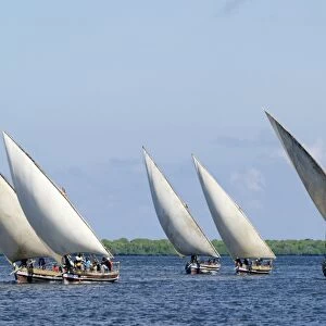 Dhows sailing off Lamu Island
