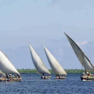 Dhows sailing off Lamu Island