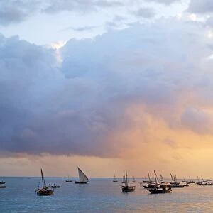 Dhows at sunset, Zanzibar