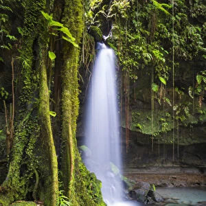 Dominica, Castle Bruce. Emerald Pool, one of the most popular tourist attractions