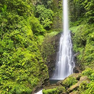 Dominica, Laudat. Middleham Falls is the tallest waterfall in Dominica