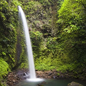Dominica, Penrice. The second of the twin Spanny Falls, known as Spanny Falls Number Two