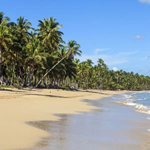 Dominican Republic, Samana Peninsula, Las Terrenas, Playa Copson