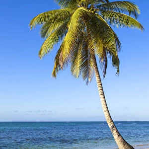 Dominican Republic, Samana Peninsula, Beach at Las Terrenas
