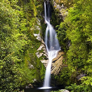 Dorothy Falls, near Hokitika, New Zealand