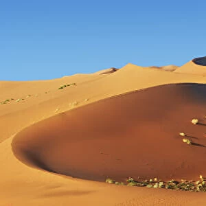 Dune impression in Namib - Namibia, Hardap, Namib, Sossus Vlei - Namib Naukluft National