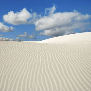 Dune landscape near Cervantes - Australia, Western Australia, Midwest